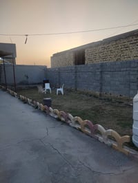 طابو زراعي • ٦٠٠م • ٣ غرف