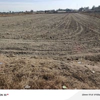 كاع للبيع • باب الكفل المرادية • ٢٠٠م عن الشارع