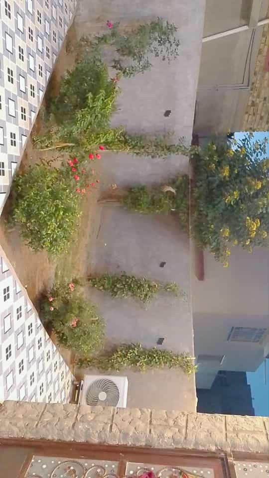 يا الله أسلام عليكم 

دار طابو زراعي سند حديث25

المساحه100م

10+10

بناء حديث سنة 24

خدمات كامله العنوان بابل زوير الغربي

استفسار اكثر مراجعت مكتب التصميم العقاري

***********📞***********
