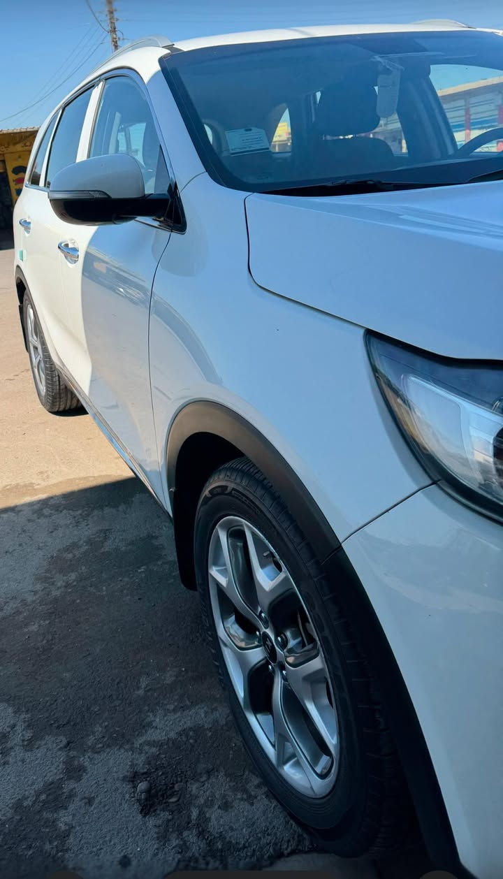 سورنتو 2016 4 سليندر دوش خليجي  رقم سليمانية سنوية لغاية 2026 بصمة تبريد 3 قطع ماشية 130 مكفولة من الصبغ والضربة والتبديل مري شفط ترحيب لد بالأبواب زراكة دعامية تحكم أوامر صوتية للاستفسار السيارة جديدة الاتصال *********** بيع مستعجل سعرها 190
