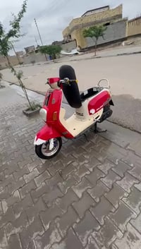 بوليس • نضيفه • بصره