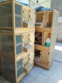 خانات • عدد ٢ • ناقصات