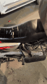 ***********.          2300 🕸️
