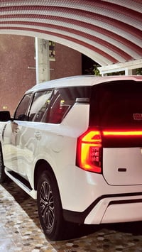 باترول بلاتينيوم • V6 3800 • ٢٠٢٥