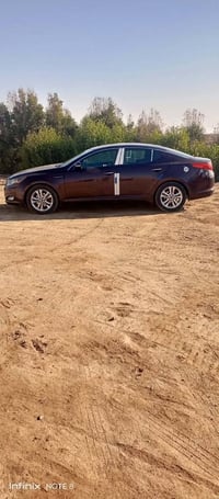 اوبتيما • ٢٠١٣ • وراد امريكي