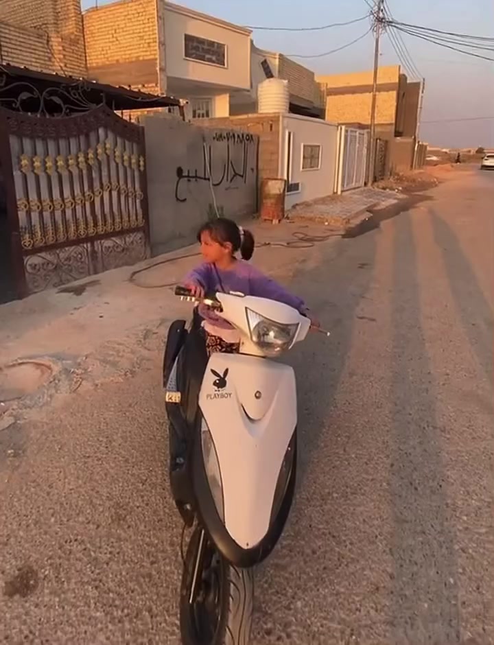 شلونهم لحبايب للبيع او مراوس حسب القناعه ماكس عدله  دراجه جاهزه من كل نواحي ما عده سلف يحتاجله راجز وربط كهربائياته دراجه  كامله كفراتها بس اني شايلهن ضامهن ومبدللها كلشي جديدتجي وتشوفها كفرات مختمه مازدات مختم  سوادات مختمه عدا قبق كلجات وقبق محرك  وبيها تزويد نواعم من يدات بريك يدات سكليتر صالصنه اف ام قبق عمبار كلج امامي رياضي دبلات امامي جدد قبل شهر مبدلهم بريك خلفي مبدله كله جديد من بنزات وسيم  سعرها540وبيه مجال للشراي مكاني بابل سكندريه حصوه


**إذا كنت صاحب هذا الإعلان وتريد حذفه لأي سبب، رجاءا أرسل رسالة إلى الدعم الفني**