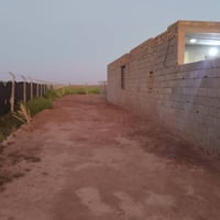 أرض زراعيه • ٣ دونم • طابو ٢٥