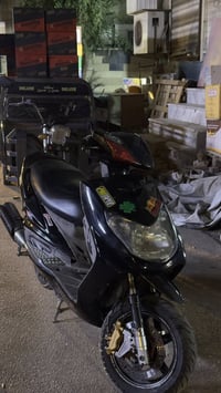 يالله السلام عليكم .. سكنس فحل للبيع مزود .. الدراجة مزودة خير من الله...