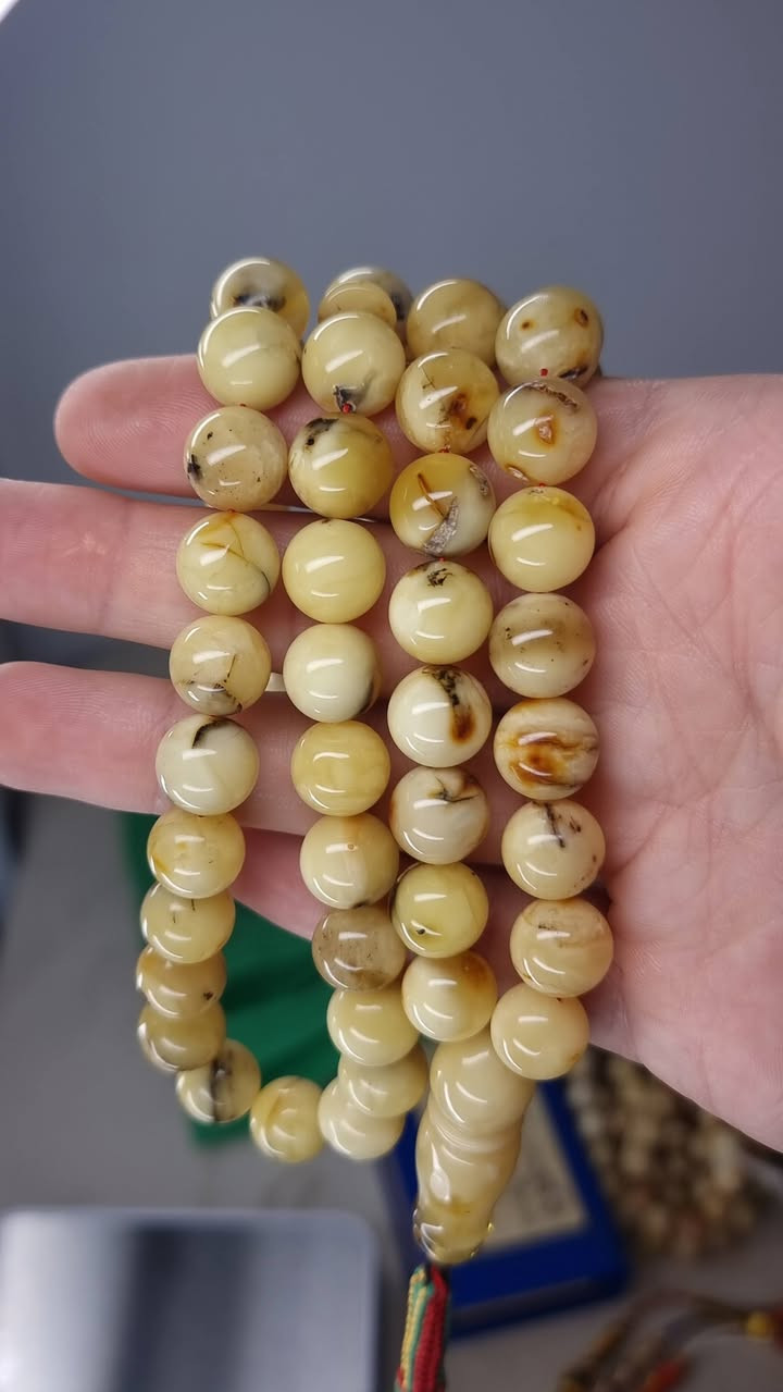 بسم الله تبارك الرحمن
كهرب بلطيقي كلنكرادي جبني  محاحي عمر سنتين
قياس الحبة ١٢ ملم
سعر الغرام ٣ دولار
٦٦ حبة


**إذا كنت صاحب هذا الإعلان وتريد حذفه لأي سبب، رجاءا أرسل رسالة إلى الدعم الفني**