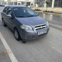 أفيو ٢٠٠٨ • سنوية ٢٠٣٠ • سليمانيه