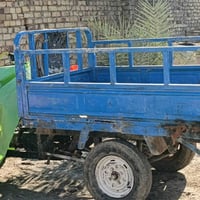 ستوته • بدون أوراق • مكينة جديدة