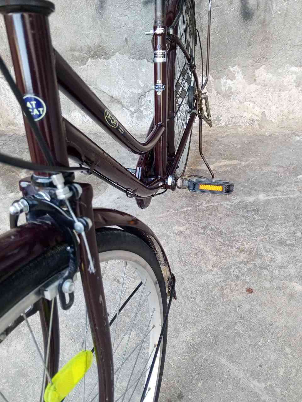 بايسكل بناتي حجم 26 نظيف فول البايسكل جاهز ما ابي اي نقص سعر 85 وبي مجال شراي مراوس حسب القناعه ببناتي اللي يريده اني بخدمته


**إذا كنت صاحب هذا الإعلان وتريد حذفه لأي سبب، رجاءا أرسل رسالة إلى الدعم الفني**