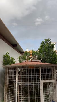 قفص حديد • طابقين • متر ونص