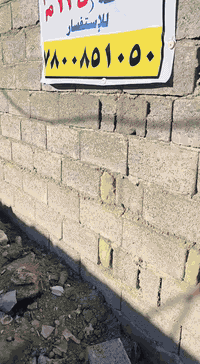 أبو غريب حي الشهداء • شارع المشجر • ١٢٥م