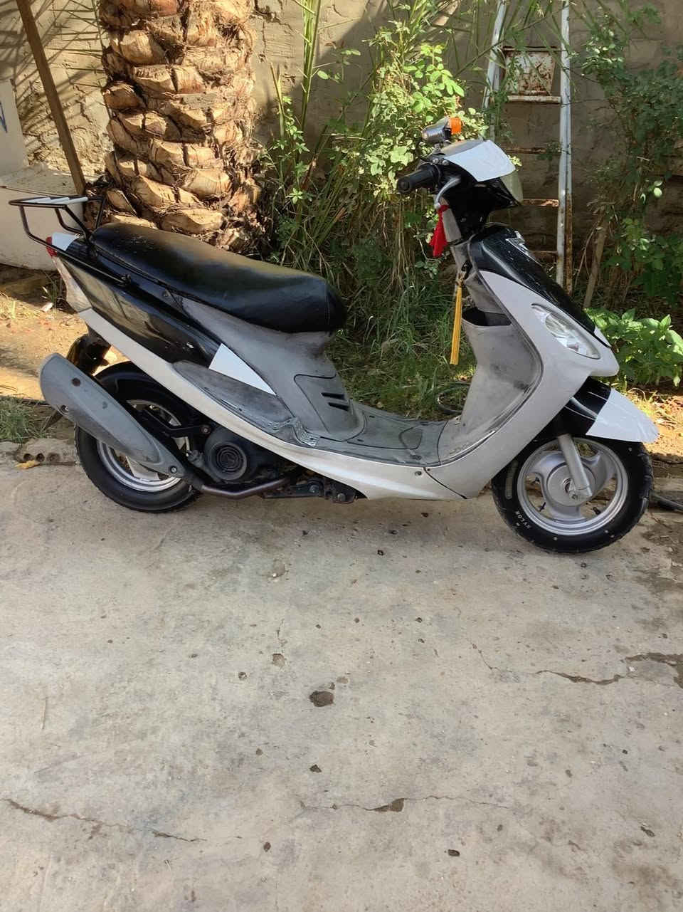 ما متواجد ع فيس مفتوحه بوشه 49 كلشي شغال بس سلف عاطل رقم الهاتف ***********
