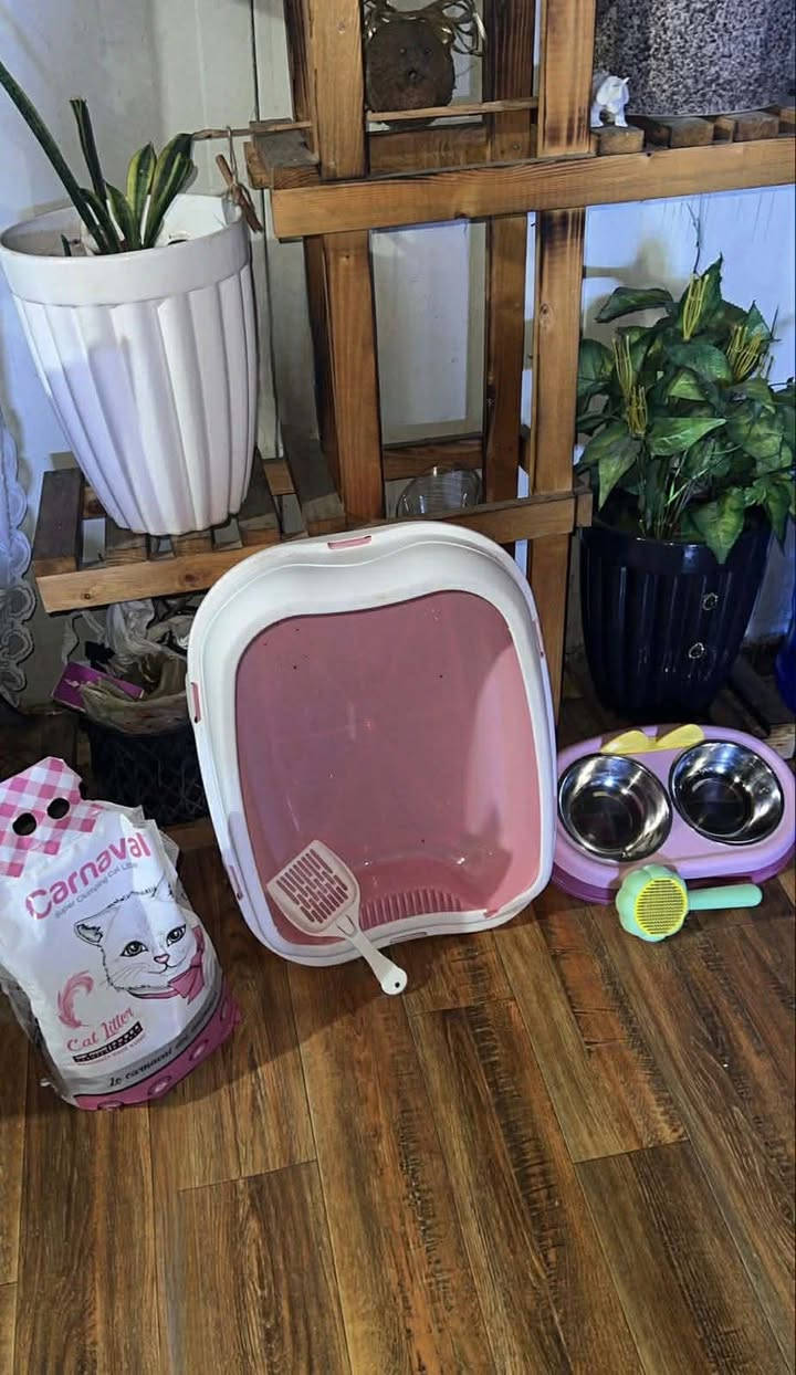 الستاند 15 
الزوليه 15 
الجربايه 30 
التلفزيون 75 
غراض القطه 25
مكاني دوره


**إذا كنت صاحب هذا الإعلان وتريد حذفه لأي سبب، رجاءا أرسل رسالة إلى الدعم الفني**