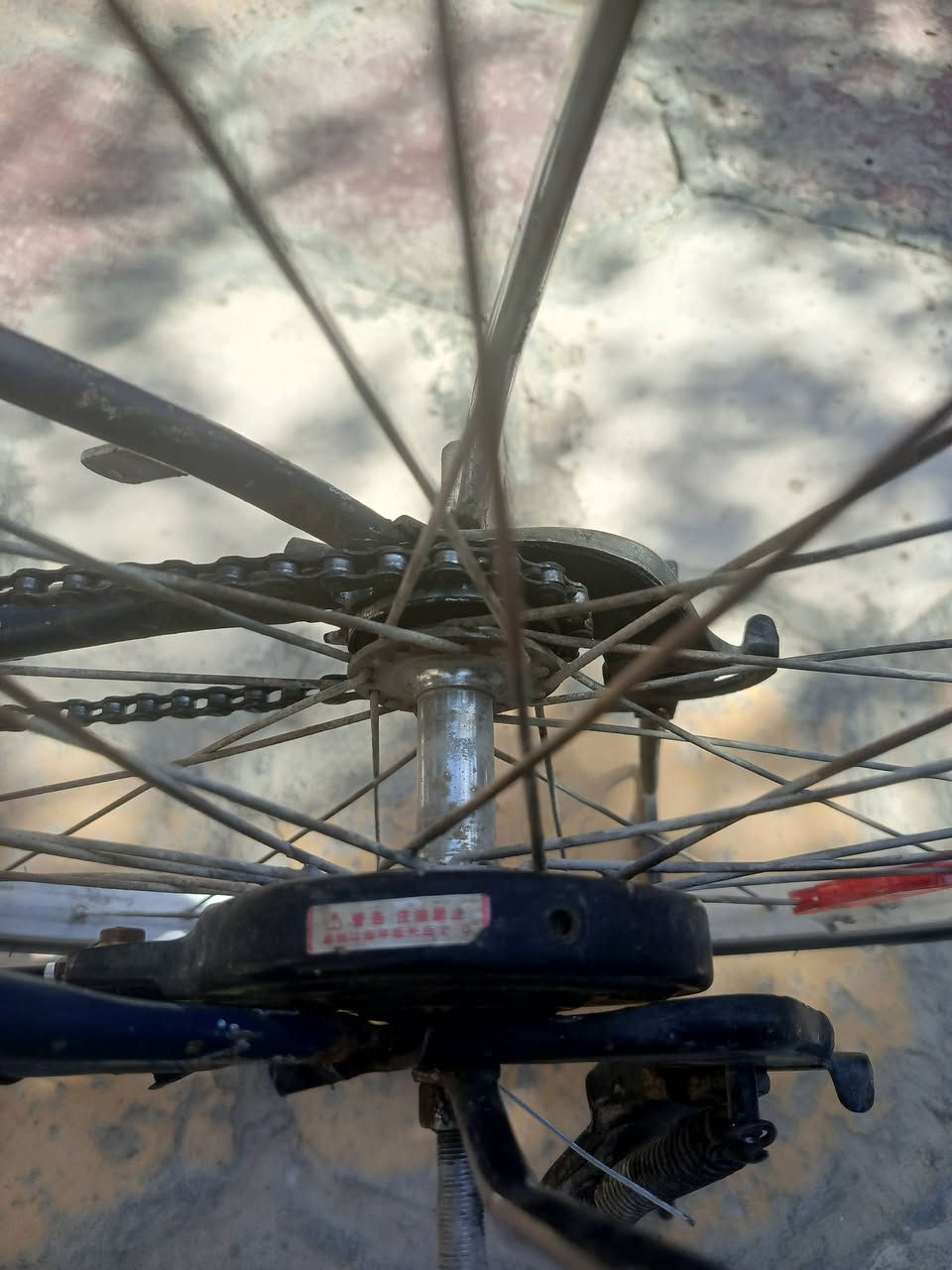 بايسكل للبيع ناصرية مركز
السعر 50


**إذا كنت صاحب هذا الإعلان وتريد حذفه لأي سبب، رجاءا أرسل رسالة إلى الدعم الفني**