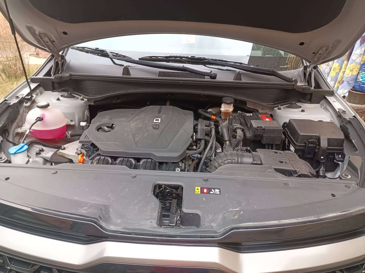 سلام عليكم سبورتج 2023فول مواصفات اكس لاين مكينه 2500تحكم ستيرن تحديدمسارهندبريك كهرباء اشايربل مري كامره دواره كشن كهرباء كشن تدفئه تبريدشحن لاسلكي بلكشن بنرامه حادثهه جاملق خلفي رقم ***********
