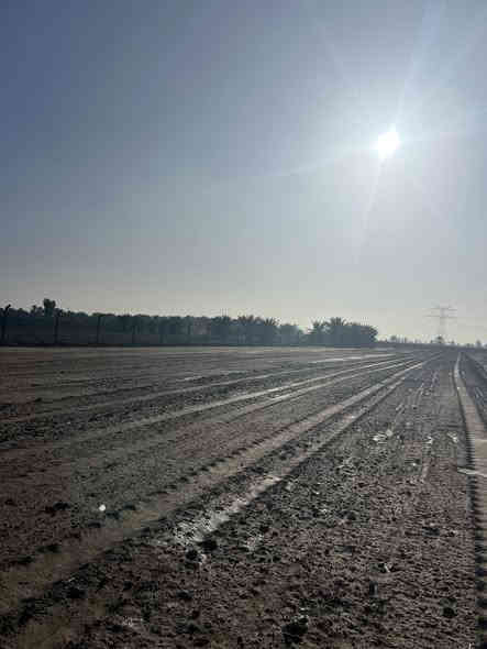 السعر بلاششش 
يتوفر قطع اراضي خلف جامعه بابل المساحه ٢٠٠ متر صنف الارض طابو زراعي سند ٢٥ تحويل مباشر بأسم المشتري كافه الخدمات متوفره سعر ال٢٠٠متر  ب ١٤ مليون بس 

***********
