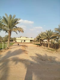 طابو زراعي • ٨٠٠م • واجهة ١٦م