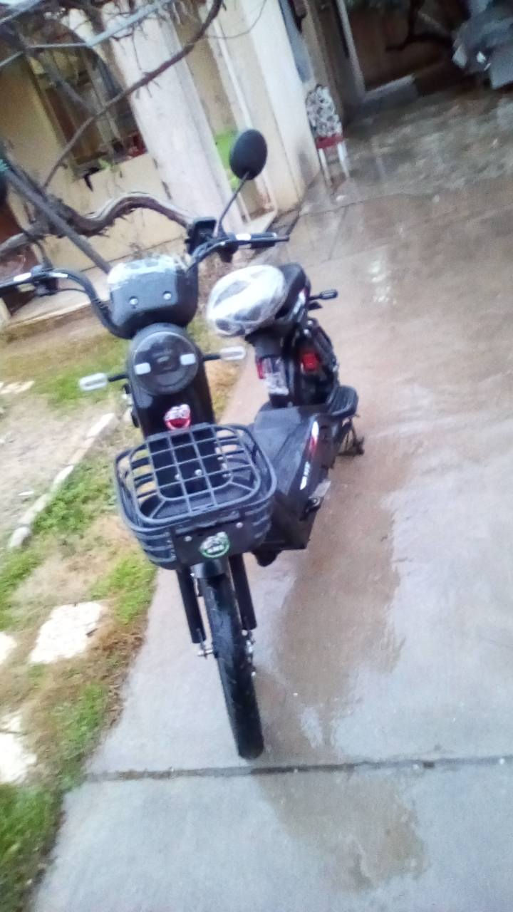 مطور الربيع جديد موديل 25 أربع نمر إشارات نظام سرقات بطاريات جديد سعر 375 بي مجال حجم 24 مراوس هم يرهم مكان حي سومر هذا رقمي ***********
