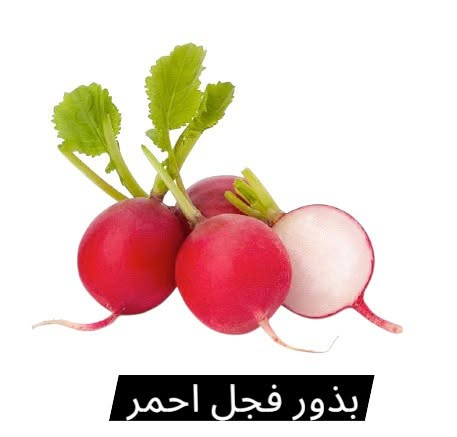 توفر بذور زراعة 🌿🌿🌿
📍 الرمادي شارع 20 فرع المقابل لحلويات العيد قرب الدكتورة زبيدة للاسنان ♦️♦️ اعشاب الدكتور صبري المرسومي♦️♦️ للتواصل ***********
