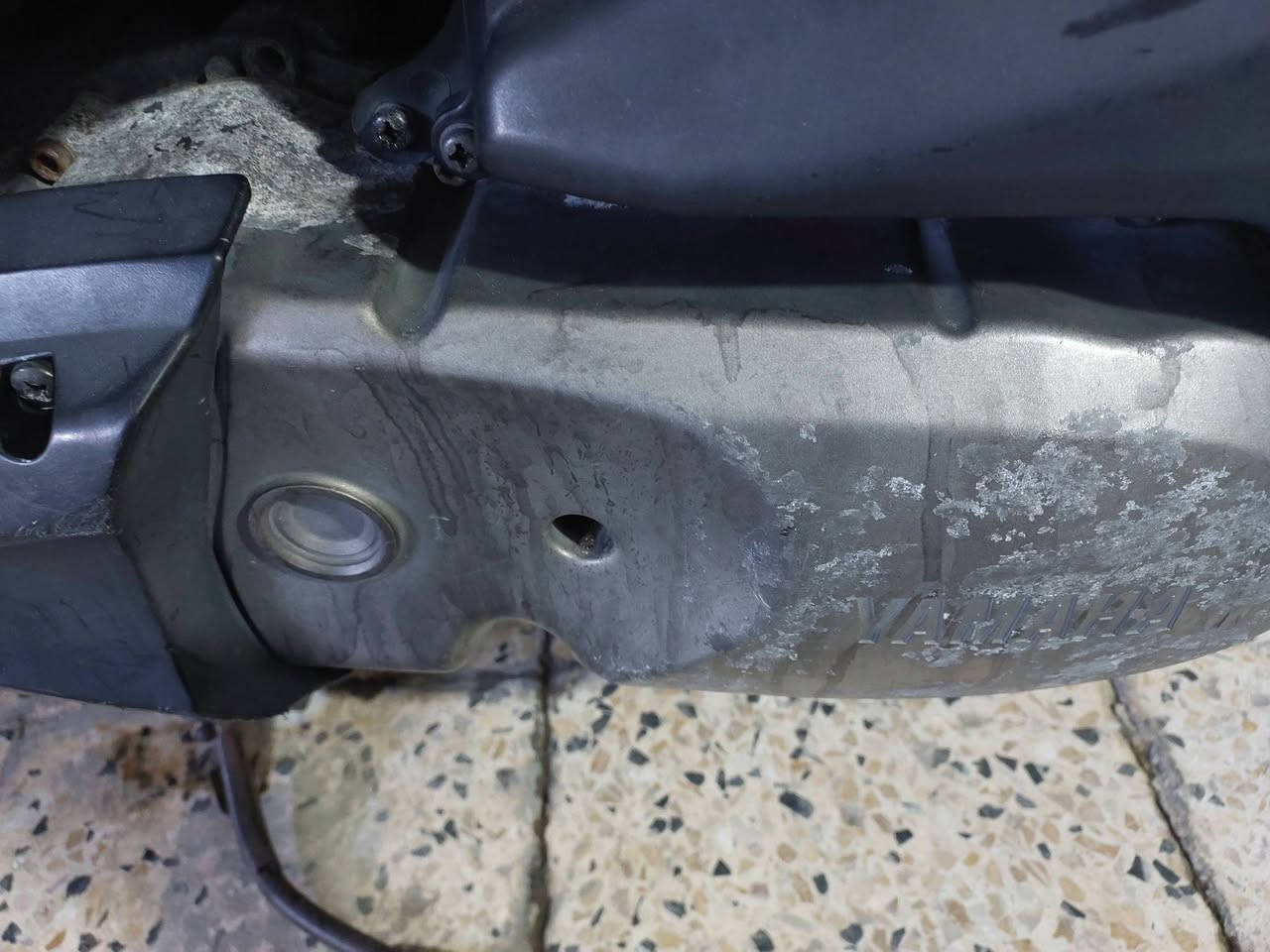 ببغاء دراجه كفالة عامه عنوان بغداد مدينه الصدر ***********
