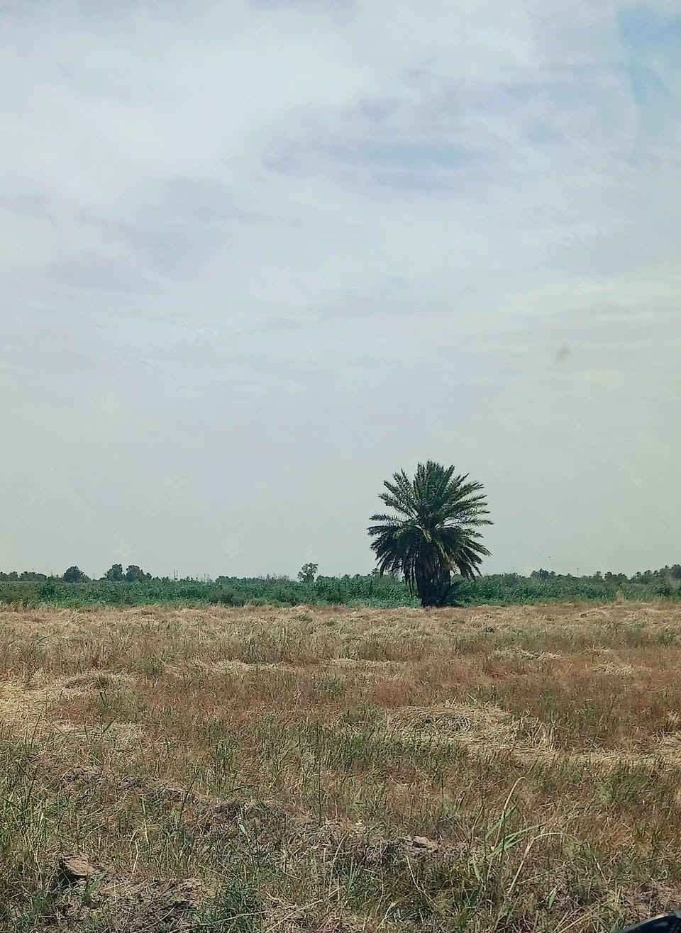 مكلف بل نشر 
ارض زراعيه شاطيه للبيع مساحتها 10 دونم عقد زراعي على قانون 35 يتوفر فيها الماء والكهرباء وبسعر مناسب المكان واسط للاستفسار ولاتصال على الرقم ***********
