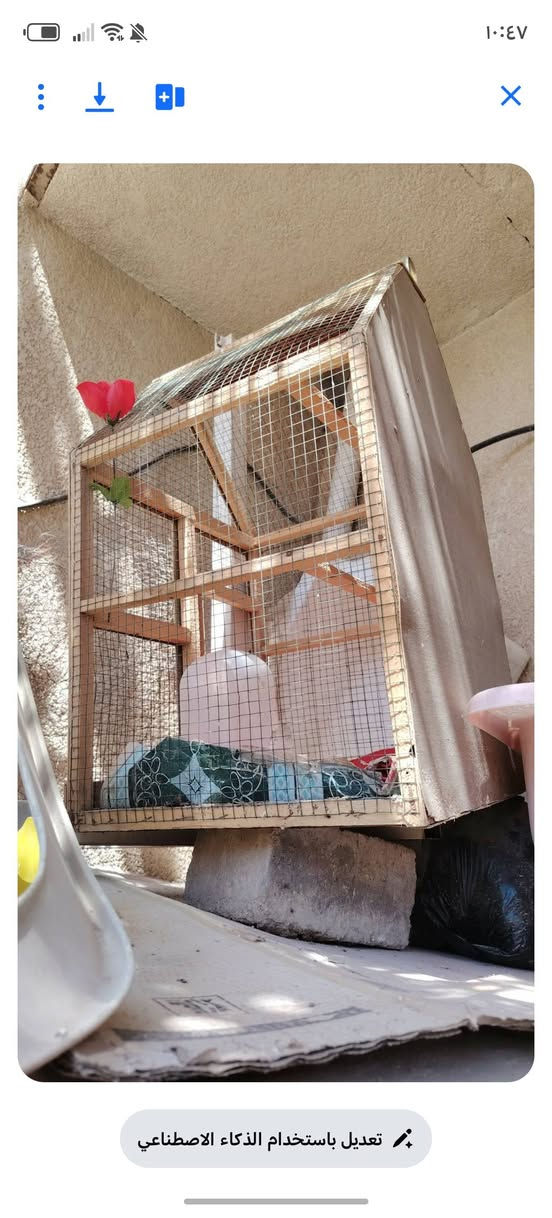 سلام عليكم جهاز تليفون جديد كامل هوه شحانه هيتفون للبيع قفص جديد للبيع ٣٠ رايدهن بخدمتكم مكاني نجف حي المكرمه


**إذا كنت صاحب هذا الإعلان وتريد حذفه لأي سبب، رجاءا أرسل رسالة إلى الدعم الفني**