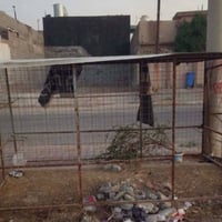 قفص • حجم كبير