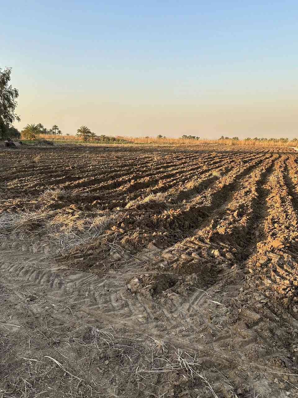 سلام عليكم
آرض للبيع كلش حلوة ومخدومه تحويل مباشر طابو سند/٢٥/مساحةً الارض/٤/دوانم تباع حسب طلب او كلهه كافة الخدمات متوفرة ماء اساله ماء سقي كهرباء تبليط عنوان بغداد اليوسفيه جسر صبار استفسار واتساب ***********
