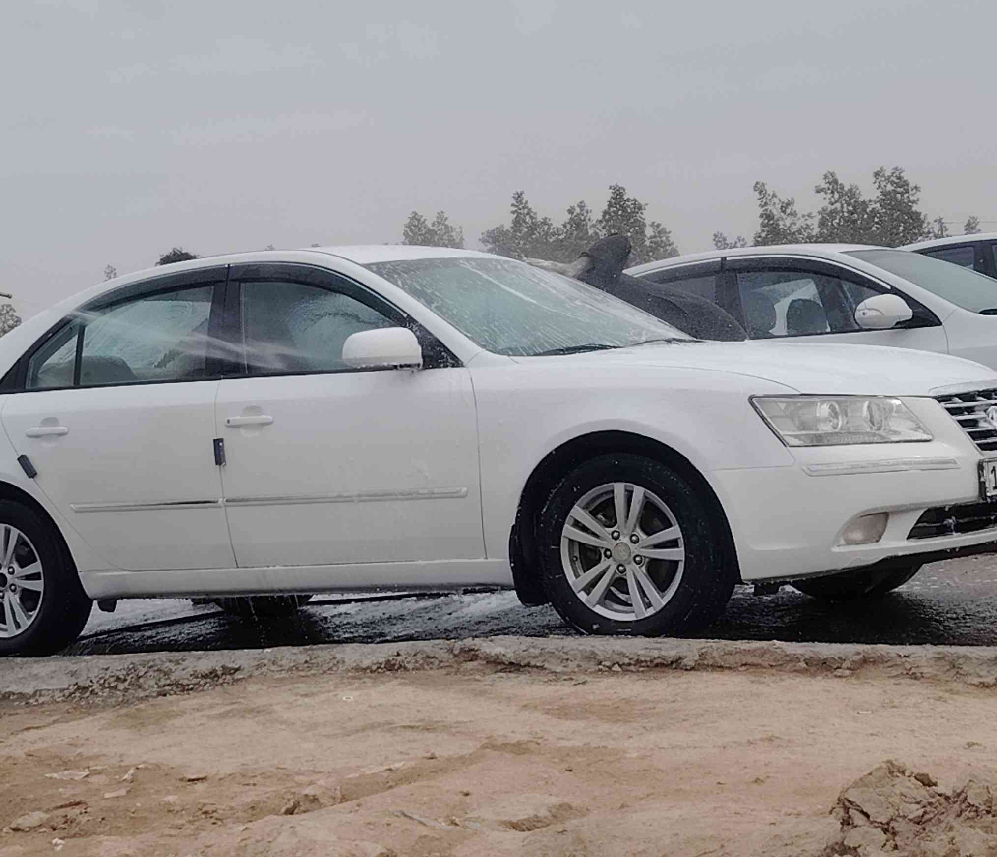 السلام عليكم
سوناتا ٢٠٠٩ خليجي سياره خير من الله حداديه جديده مكينه جديده مكفوله ٢٤٠٠ رقم بابل تبريد ثلج تخم  كير كله مكفول
منضومه غاز جديده 
بيها رشات صبغ مكانات
رقم بابل انكليزي
السعر ١٠٥
مكاني النجف الاشرف
الاستفسار

*********** 
تحويل ثاني يوم باسمك
