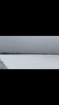 *********** 

يعلن مكتب المرتضى ☂☔استعدادها لتغليف السطوح بمادة الايزوكام  العاكس للحرارة🔥🔥🌣 ومانع الرطوبة🌧🌨⛈🌪🏛 يغنيك عن استخدام المواد التالية التراب والفلين والاشتايكر والنايلون والرمل خفيف الوزن السطوح القديمة🏛🏛🏛🏙 والحديثة 🏚🏠🏘🏘مانع الرطوبة 🌦🌧🌨ومقاوم للحرارة  اقتصادي وبأسعار مقبولة 💧علمن لدينا كادر متخصص في هذا العمل📖📗🚻🚺🚹  للعمل في       النجف فقط حاليا والاسعار حسب المساحات  الاستفسارات الاتصال على الارقام  👇👇
***********
