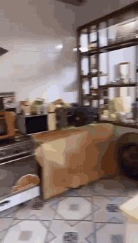 مزرعة مع دار للبيع  متكاملة 2000متر ملك صرف على طابو الطارمية مع دار مساحة 350 مترتدريد مع الاثاث او بدون اثاث  العنوان الشيخ حمد شارع سيد شاكر قرب ملعب حروري يسجل باسم المشتري دونم واقع الحال في السند والتسجيل والتحويل ثاني يوم الاتصال ع الرقم ***********   السعر 350 وبيها مجال
