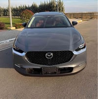 سي اكس-30 • ٢٠٢٤ • بدون صبغ