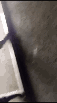 السلام عليكم كادر لبخ متفرغ داخل بغداد سقل ناعم تصفير واجهات جراره لبخ ونثر تشميع ***********
