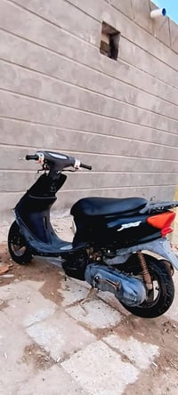 عصفورية • نضيفه • مامفتوحه