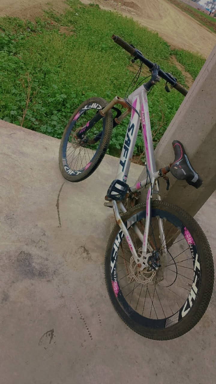 بايسكلات للبيع استفسار خاص


**إذا كنت صاحب هذا الإعلان وتريد حذفه لأي سبب، رجاءا أرسل رسالة إلى الدعم الفني**