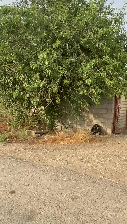 دار للبيع منطقه سموم المساحه 1250 متر شارع تبليط قرب الشارع العام ماء وكهرباء 

        ■■■■■■■■■■■■■■■■■■■■■■■■
           للإستفسار أكثر يمكنم التواصل عبر رقم الهاتف 
                ☎️ ( *********** ☎️  

        
  🙋‍♂️ مكتب السهل الاخضر للعقارات الضباط الثانيه 🏡
