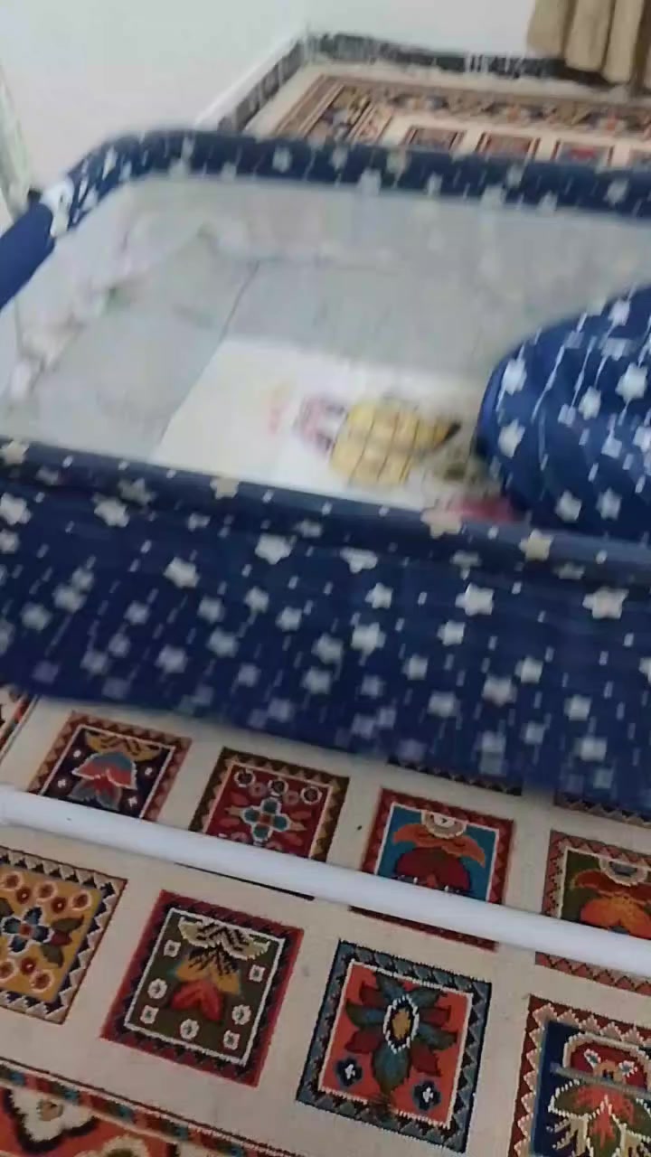 كاروك اطفال  هزاز لحد عمر سنه ب50 وبي مجال  وحماله طفل قويه وجديده ممستعمله 15 وبي مجال


**إذا كنت صاحب هذا الإعلان وتريد حذفه لأي سبب، رجاءا أرسل رسالة إلى الدعم الفني**