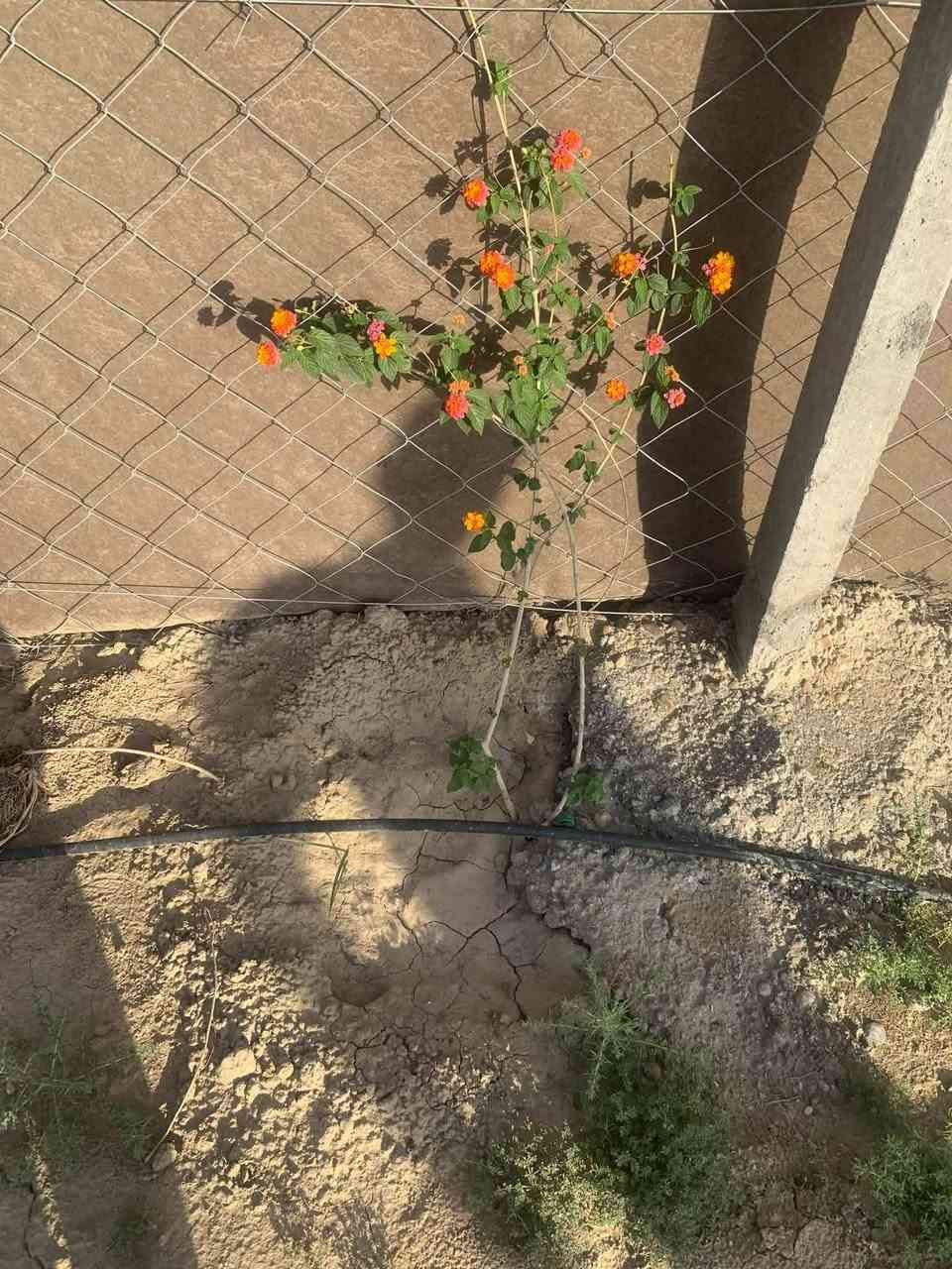 السلام عليكم
للبيع قطعه أرض المساحه نص دونم  طابو زراعي سند 25 تحويل مباشر كافه الخدمات متوفره تبعد عن طريق حله نجف كيلو تقريبا التبليط قرب جامعة بابل الصورة من واقع الحال تفاصيل اكثر اتصل على:. ***********
او مراجعة #مكتب #الغدير #للعقار الكائن خلف جامعة بابل
