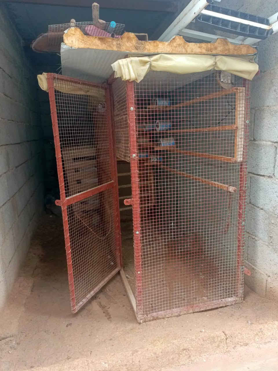 قفص للبيع العرض 90 الطول مترين الرتفاع مترين ***********
