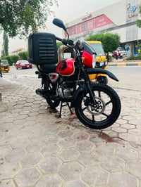 بوكسر • جبلي • ٢٠٢٣