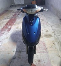 منغولي • شغالة • ترتيبات بسيطة