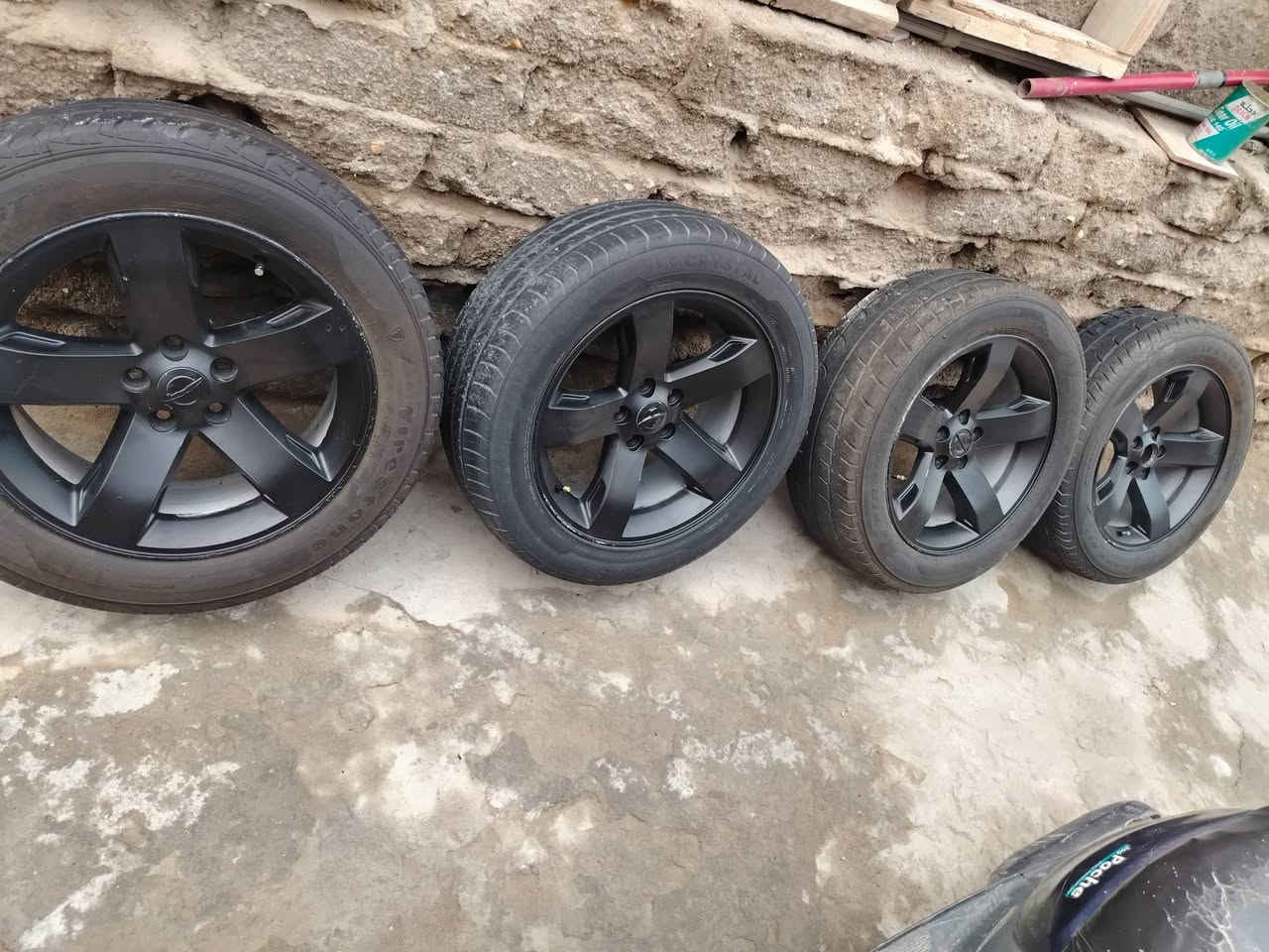 تخم ويل مال جانجر حجم لويل 18لا عواج ولا فطر ولا لحيم لويل حلو كلش كشرته حلوه لي شرايه يجيني خاص وبخدمته لستفسار ***********
