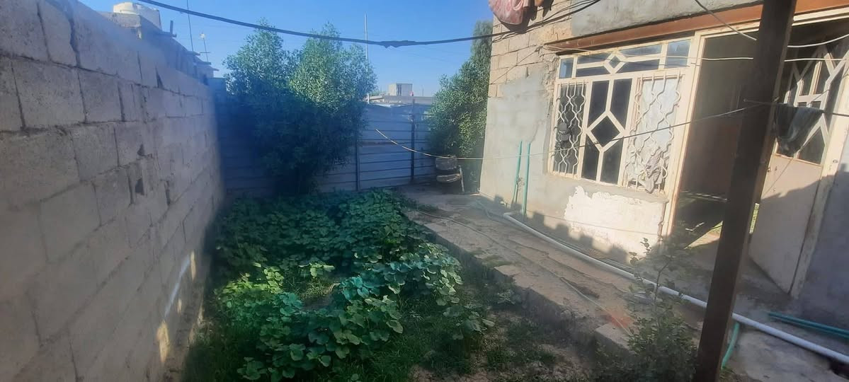 السلام عليكم الدارلبيع بيت 
غرفه نوم ١ مطبخ ومضيف هول مع حديقه كراج سياره 
بيت قريب على شارع العام حي جواد 
سندويج مساح 285
تصال على رقم ***********
