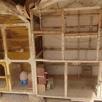 مجموعة اقفاص • نضيفات • ما بيهن نقص