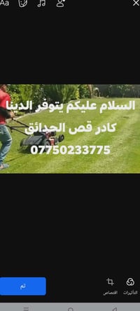 تجهيز الحديقة • تزيين للعيد • تركيب حدائق