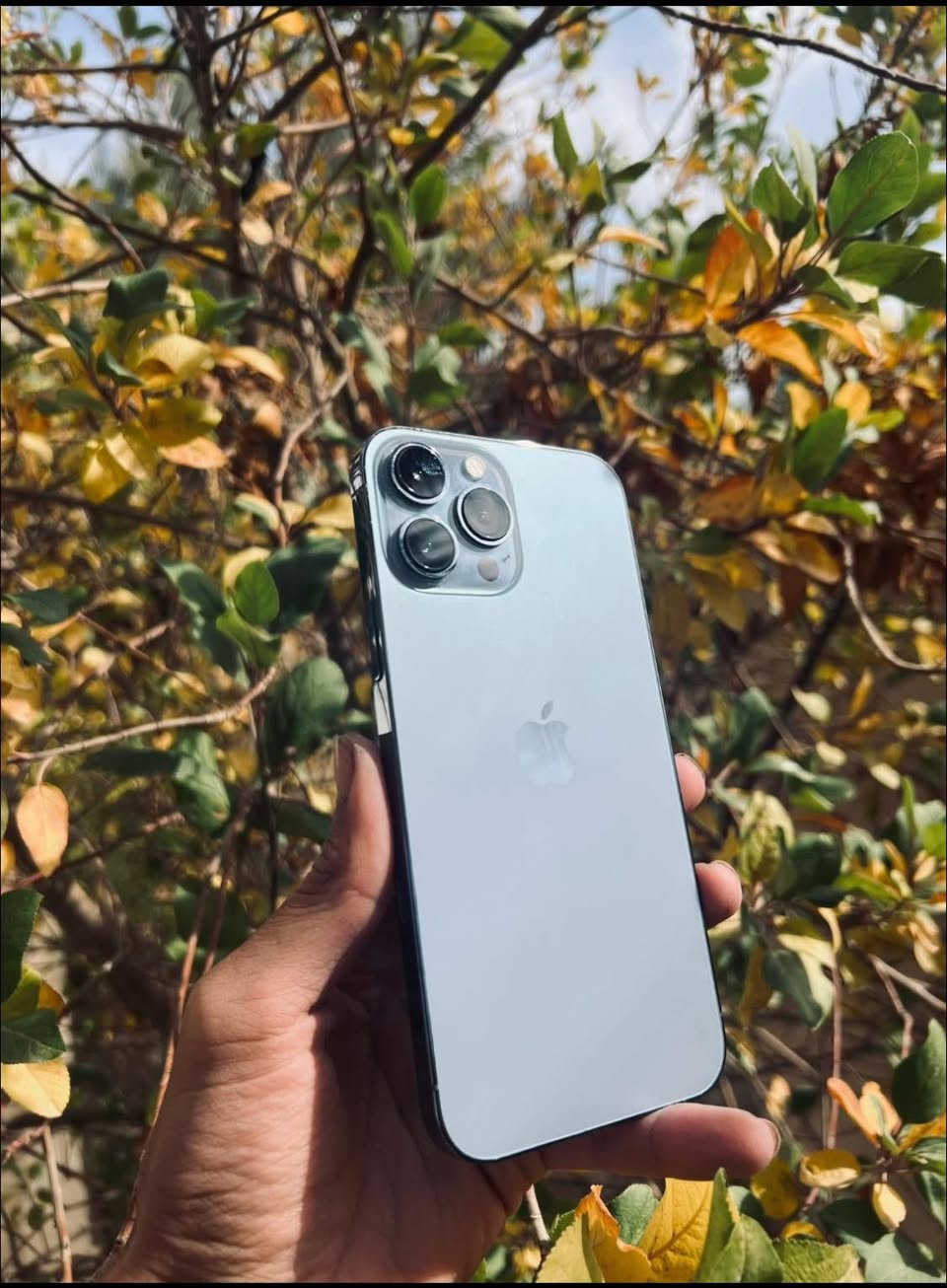 من رخصت صاحب الصوره سلام  عليكم اخوان آيفون 13برو ماكس فول للبيع  
البطاريه 83
ألون بحري
الجهاز ما مفتوح 
مساحه التخزين 256
والجهاز الله شاهد بعد جديد 
بس ما وياه كارتون بس شاحنه ويا 
 سعر الجهاز 725وبي مجال قليل رقم الجهاز ***********
