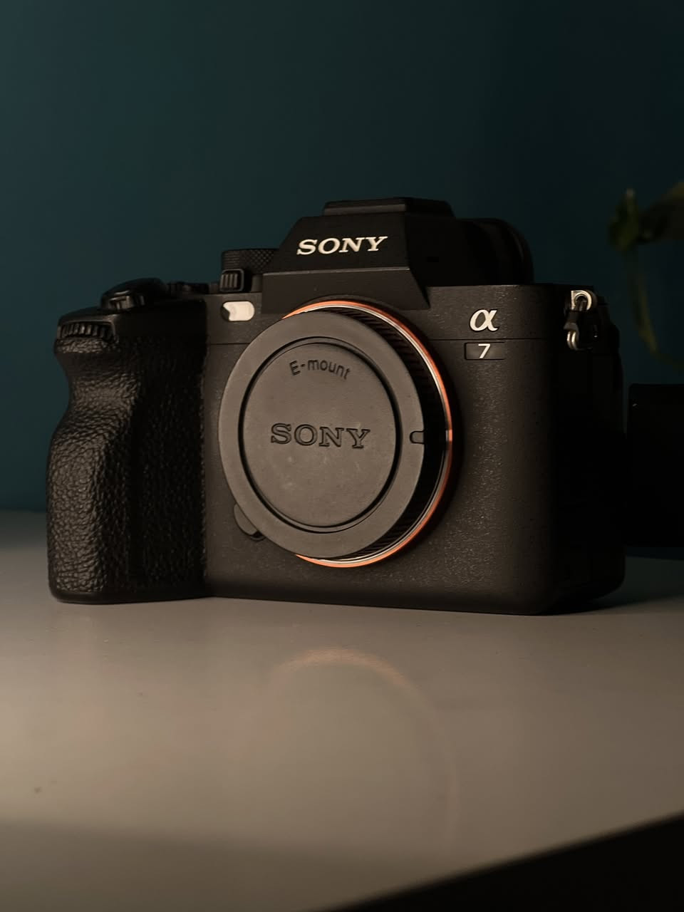 كامرا سوني A7 m4

 sony A7iv

نضافة 99‎%‎

✅البدي 

✅غطاء السنسر 

✅بطارية 

✅شاحنة بطاريات 

✅شاحنة بور سبلاي 

✅كارتونه 

✅شتر 3K

السعر مليونين و 250

بغداد حي اور ماعندي توصيل ***********
